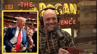 Joe Rogan Laughs at Trump&rsquo;s UFC Take | JRE Podcast