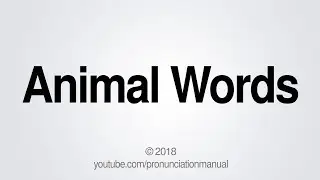 How to Pronounce Animal Words