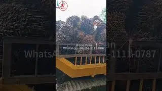 5 Ton Crawler Dumper Transport FFB in tough road