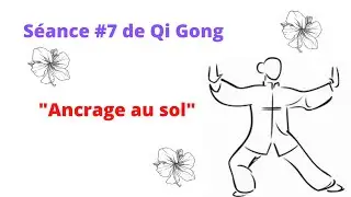 Séance 7 de Qi Gong : 