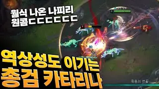 총검 카타리나 대화가 된다