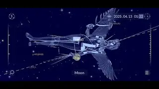A Method In The Madness -  Full Moon April 12th/13th 2025