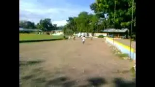 Apolinarians - T-Shirt Relay Quiz.wmv