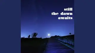 Still, The Dawn Awaits