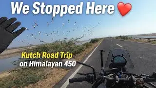 Thousands of flamingos… Exactly Hear 😮 | Road to Heaven