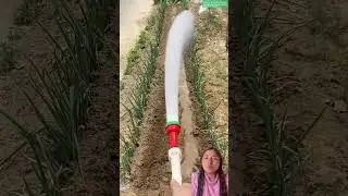 sajilo hunxa hai #amazing #easyfarming #agriculture nepal shot#agriculture #farming101