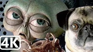 Men In Black II Alien Escape Full Movie All Cutscenes 4K 60 fps Ultra HD