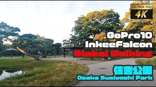 【4K】Gimbal Walking 　Sumiyoshi Park　📹　  06/11/2022