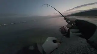 Muallimk&ouml;y İzmarit İspari İstavrit LRF AVI