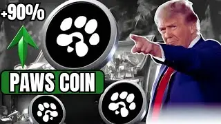 Paws Coin Listing & Launch Date 🔥 Latest PAWS Token Update 2025
