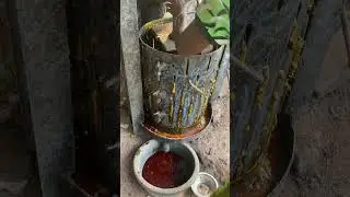 Processing the red oil #ishowspeed  #natural 