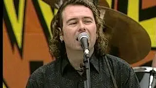 Wild Wednesday Concert - The Fenians
