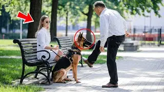 Motorcyclist mocks and kicks a blind girl's guide dog, unaware it was a former K9