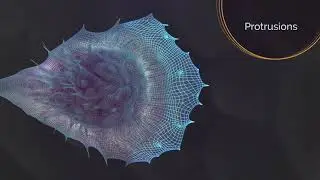 The Role of Actin in Cell Motility I Stunning 3D Animation
