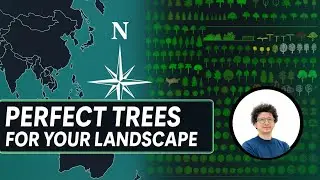 Tree Families for Revit Landscape Design &ndash; Step-by-Step Guide