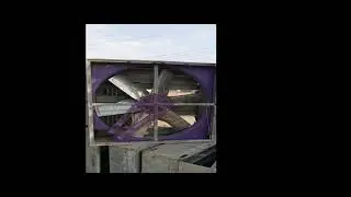 Automatic Dairy shower system\ Mist fan\ control shed fan\ belt drive fan direct drive fan