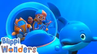 Blippi speaks Dolphin ! | Blippi Wonders Educational Videos for Kids