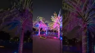 These Trees Light Up the Night | Sikka Art Festival 2025 Dubai