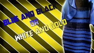 Blue and Black Dress Explained