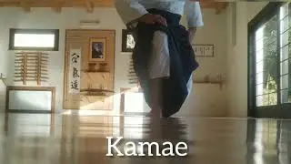 AIKIDO PARTE 29 shikko e shitai