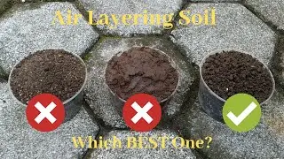 How to Make Air Layering Soil