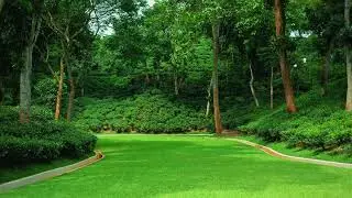Bask in breathtaking views and unmatched elegance | Grand Sultan Tea Resort & Golf