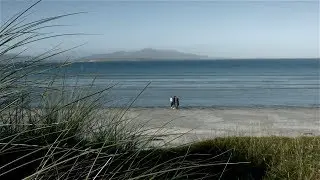 Salt House - Charmer