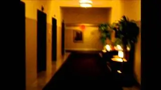 TESLA'S GHOST?