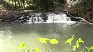 Parte de nuestra historia como distrito de La Chorrera