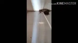 ROOM TOUR... 8 KAMAR KUCING KESAYANGAN versi orang biasa #dailycatvlog #catlover