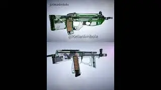 FN F2000 x PP2000