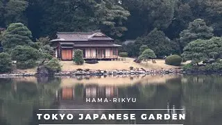Hama-Rikyu Japanese Garden (Tokyo, Japan) | A Strolling Garden Amongst the Skyscrapers | 浜離宮恩賜庭園