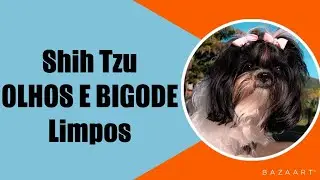 COMO LIMPAR OS OLHOS E O BIGODE DO SHIHTZU