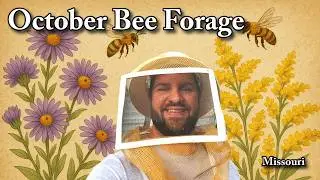Fall Beekeeping Guide | October Flowers & Winter Hive Prep for Healthy Bees