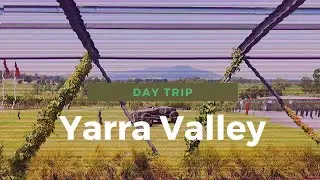 Yarra Valley Winery Day Trip | Melbourne | Australia | MR Agathon