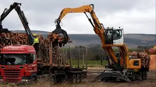 Unloading trucks at Balcas