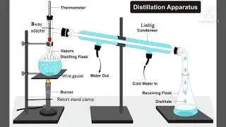 Fractionation Technique