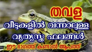 തവള വീട്ടിൽ വന്നാൽ ഈ ശുഭ കാര്യങ്ങളും,അശുഭ കാര്യങ്ങളും നടക്കും Astrology malayalam