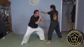 Hoko No Kamae