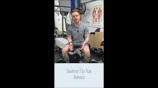 Calf, Achilles and Plantar Fascia Exercises - Seated Tip Toe Raises