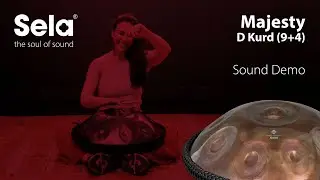 Sela Majesty Handpan D Kurd 9+4 (440 Hz) - SE 311