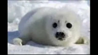 (
