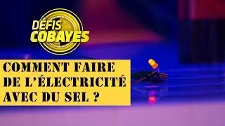 Comment faire de l'&eacute;lectricit&eacute; avec du sel ? - D&eacute;fis Cobayes - France 4