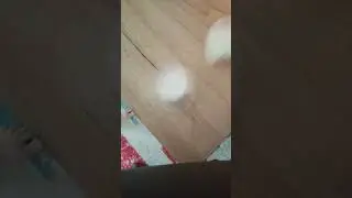 Cardboard cup flip challenge (part 3)