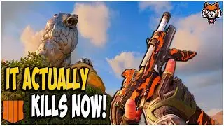 The RK7 Best Class Setup Is Actually Good After Update 1.13 On Black Ops 4