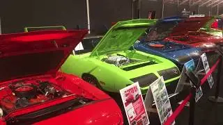 A collection of Mopar Wing cars Plymouth Superbird & Dodge Daytona