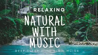 Peaceful Sleep Music | 1 Hour 49 Minutes | Calm & Relaxing, Studying or quiet time
