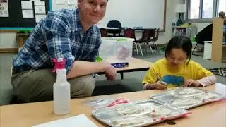 Young Scientists Experiment