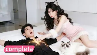 Princesa Felina cai na Terra: cura o CEO moribundo e garante um noivado explosivo!