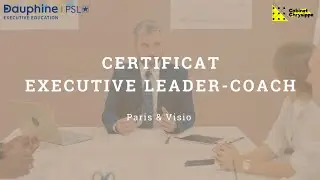 Certificat Executive Leader Coach - Universit&eacute; Paris Dauphine &ndash; PSL & Cabinet Chrysippe-R&D